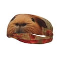 thumbnail image 1 of Lsque Rose Cute Guinea Pig Pattern Sweatbands Sports Headband for Men & Women - Moisture Wicking Athletic Cotton Terry Cloth Sweatband for Tennis, Basketball, Running, 1 of 9