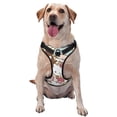 thumbnail image 1 of Lsque Sanrio Dog Harness, No-Pull Pet Harness with 2 Leash Clips, Adjustable Soft Padded Dog Vest with Easy Control Handle for Large Dogs-Medium, 1 of 9