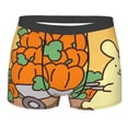 thumbnail image 1 of Lsque Sanrio Pattern Men’s Total Support Pouch Boxer Briefs, X-Temp Cooling, Moisture-Wicking Underwear, Regular, Long-leg and Trunk-XX-Large, 1 of 7