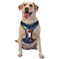 thumbnail image 1 of Lsque Scooby-Doo Dog Harness, No-Pull Pet Harness with 2 Leash Clips, Adjustable Soft Padded Dog Vest with Easy Control Handle for Large Dogs-Medium, 1 of 9