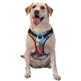 thumbnail image 1 of Lsque Scooby-Doo Dog Harness, No-Pull Pet Harness with 2 Leash Clips, Adjustable Soft Padded Dog Vest with Easy Control Handle for Large Dogs-, 1 of 9