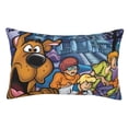 thumbnail image 1 of Lsque Scooby-Doo Pattern Bedding Waterproof Pillow Protector Zippered Queen – Bed Bug Proof Pillow Encasement-20"x30", 1 of 6