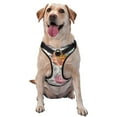 thumbnail image 1 of Lsque Skull and Flowers Dog Harness, No-Pull Pet Harness with 2 Leash Clips, Adjustable Soft Padded Dog Vest with Easy Control Handle for Large Dogs-Medium, 1 of 9