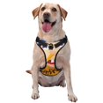 thumbnail image 1 of Lsque Sml Jeffy Dog Harness, No-Pull Pet Harness with 2 Leash Clips, Adjustable Soft Padded Dog Vest with Easy Control Handle for Large Dogs-, 1 of 9