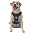 thumbnail image 1 of Lsque Space Dinosaur Dog Harness, No-Pull Pet Harness with 2 Leash Clips, Adjustable Soft Padded Dog Vest with Easy Control Handle for Large Dogs-Small, 1 of 9