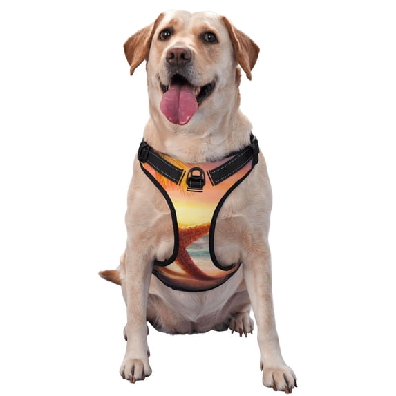 Lsque Starfish Sunset Sea Beach Dog Harness, No-Pull Pet Harness with 2 Leash Clips, Adjustable Soft Padded Dog Vest with Easy Control Handle for Large Dogs-Small