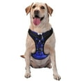 thumbnail image 1 of Lsque Steel Skull Dog Harness, No-Pull Pet Harness with 2 Leash Clips, Adjustable Soft Padded Dog Vest with Easy Control Handle for Large Dogs-X-Large, 1 of 9