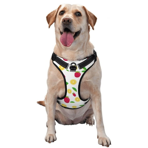 Lsque Strawberry and Lemon Dog Harness, No-Pull Pet Harness with 2 Leash Clips, Adjustable Soft Padded Dog Vest with Easy Control Handle for Large Dogs-Medium