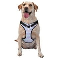 thumbnail image 1 of Lsque Striped Gradient Dog Harness, No-Pull Pet Harness with 2 Leash Clips, Adjustable Soft Padded Dog Vest with Easy Control Handle for Large Dogs-Large, 1 of 9