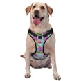 thumbnail image 1 of Lsque Succulents Dog Harness, No-Pull Pet Harness with 2 Leash Clips, Adjustable Soft Padded Dog Vest with Easy Control Handle for Large Dogs-Medium, 1 of 9