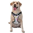 thumbnail image 1 of Lsque Summer with Flamingo Dog Harness, No-Pull Pet Harness with 2 Leash Clips, Adjustable Soft Padded Dog Vest with Easy Control Handle for Large Dogs-Small, 1 of 9