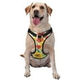 thumbnail image 1 of Lsque Sunflower Cornflower Poppy Dog Harness, No-Pull Pet Harness with 2 Leash Clips, Adjustable Soft Padded Dog Vest with Easy Control Handle for Large Dogs-Large, 1 of 9