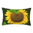 thumbnail image 1 of Lsque Sunflower3 Pattern Pillow Case – Soft & Cozy Throw Pillow Cover, Hypoallergenic Cushion Case for Sleeping Women with Envelope Closure-16"x24", 1 of 6