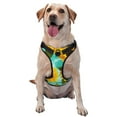 thumbnail image 1 of Lsque Sunflowers With Green Leaves Dog Harness, No-Pull Pet Harness with 2 Leash Clips, Adjustable Soft Padded Dog Vest with Easy Control Handle for Large Dogs-Medium, 1 of 9