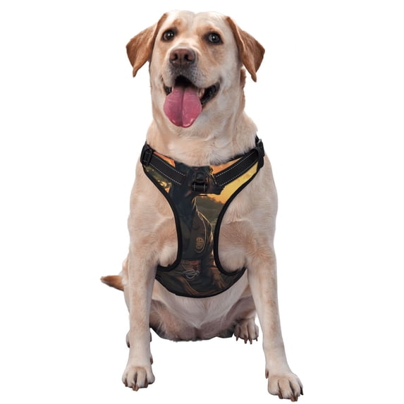 Lsque Sunset Meditating Doberman Dog Harness, No-Pull Pet Harness with 2 Leash Clips, Adjustable Soft Padded Dog Vest with Easy Control Handle for Large Dogs-Medium