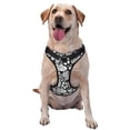 thumbnail image 1 of Lsque Tropical Leaves Dog Harness, No-Pull Pet Harness with 2 Leash Clips, Adjustable Soft Padded Dog Vest with Easy Control Handle for Large Dogs-Medium, 1 of 9