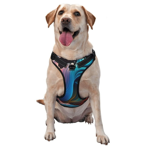 Lsque Vibrant Fluid Motion Art Dog Harness, No-Pull Pet Harness with 2 Leash Clips, Adjustable Soft Padded Dog Vest with Easy Control Handle for Large Dogs-Small