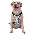 thumbnail image 1 of Lsque World Travel2 Dog Harness, No-Pull Pet Harness with 2 Leash Clips, Adjustable Soft Padded Dog Vest with Easy Control Handle for Large Dogs-, 1 of 9