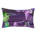 thumbnail image 1 of Lsque inside out 2 Pattern Bedding Waterproof Pillow Protector Zippered Queen – Bed Bug Proof Pillow Encasement-20"x30", 1 of 6