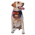 thumbnail image 1 of Lsque inside out 2 Printing Dog Bandana ,Cat Scarf Adjustable Bib Handkerchief Accessories for Dogs Cats,Pet scarf,Pet fashion, 1 of 8