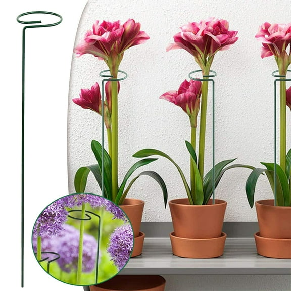 Lssam 9.8 Inch Plant Support Stakes, 1 Pack - Heavy Duty Garden Stakes for Amaryllis, Peony, Tomato & Rose, Single Stem Plant Cage Support Rings for Indoor/Outdoor Flowers