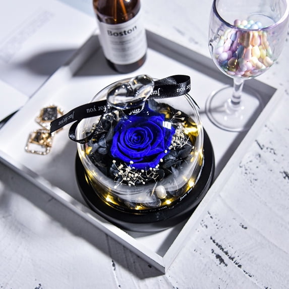 Lssam Eternal Roses Flores Eternas in Glass, Natural Looking Preserved Rose Gift for Women, Mom, Grandma with LED for Birthday, Christmas Home Decor