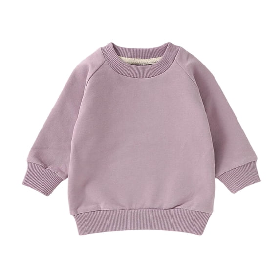 Ltctricy Toddler Baby Girls Boys Sweatshirts Raglan Long Sleeve Shirts Infant Newborn Clothes Crew Neck Casual Pullover Tops(Purple,18-24 Months)