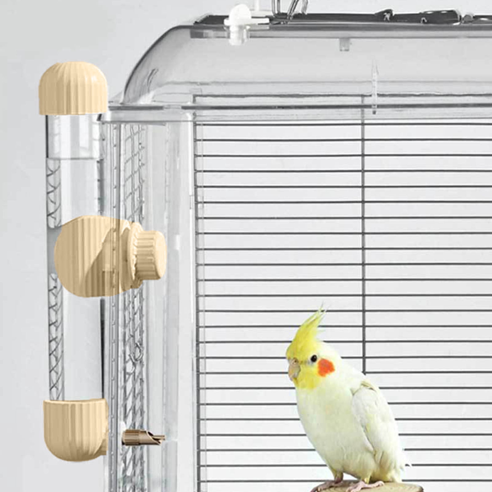 Photo inspiration: Picture Idea: Ltdhehe Durable Metal And Bird Feeder For Cages For Parrots