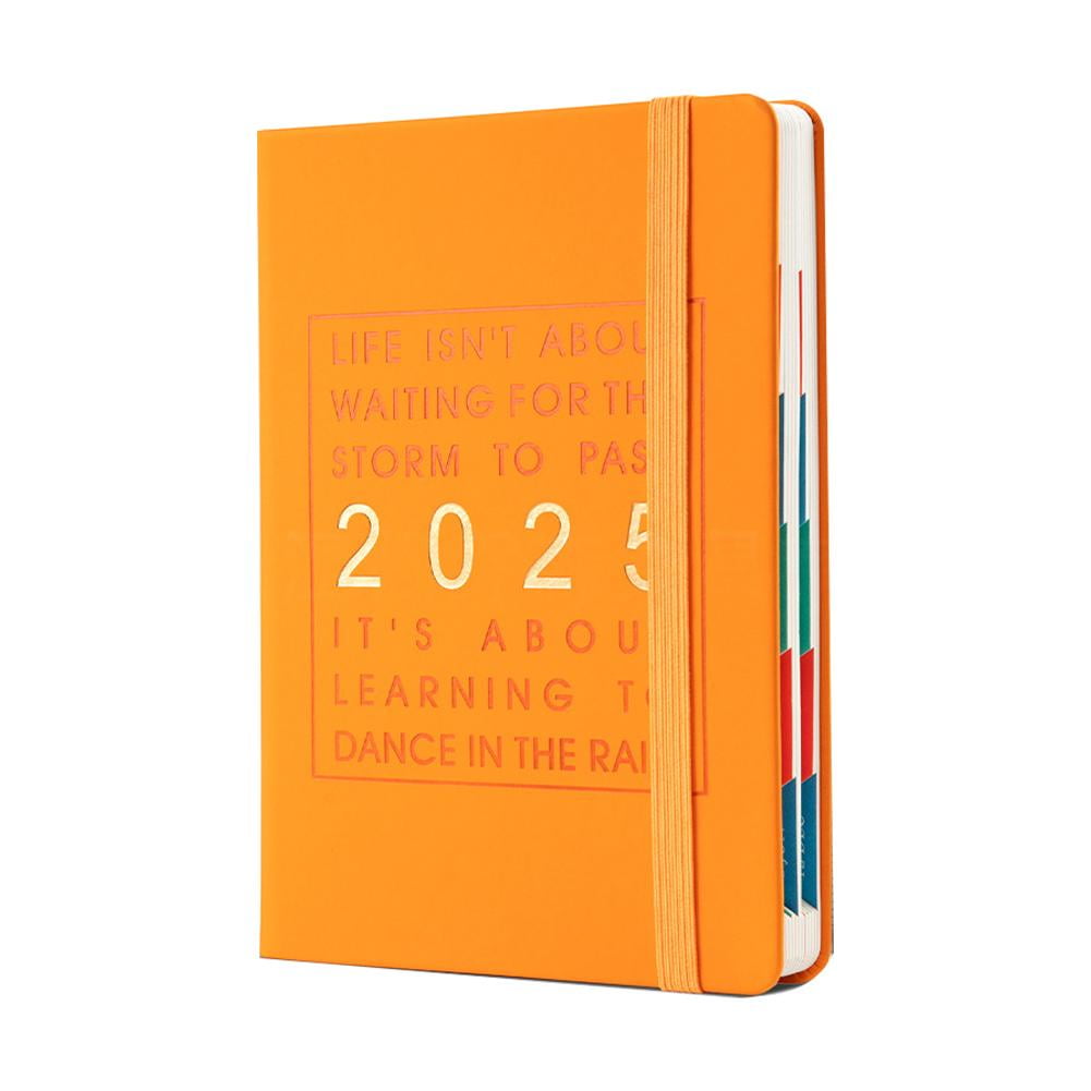 Lttoisl® 2025 One Day One Page Daily Planner, Your Ultimate Gift Calendar Page A Day Calendar