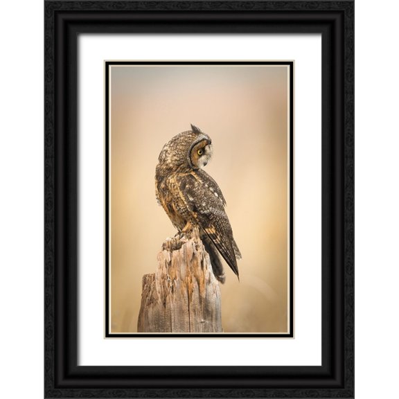 Lu, Bill 11x14 Black Ornate Wood Framed with Double Matting Museum Art Print Titled - Sunrise
