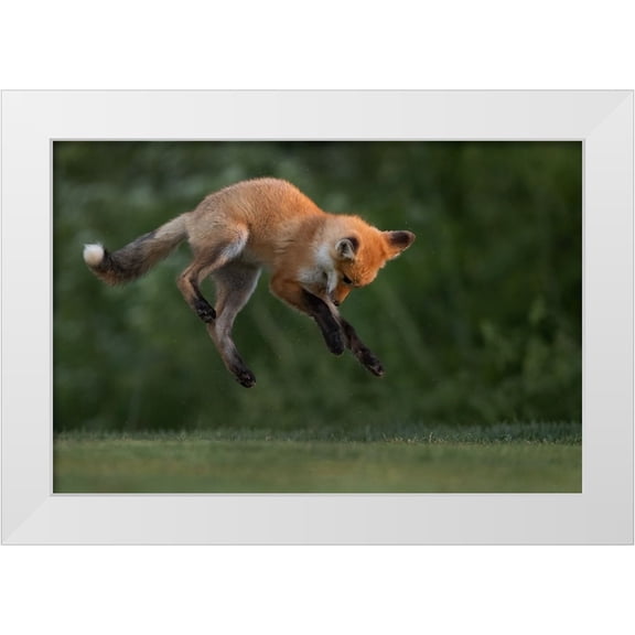 Lu, Bill 14x11 White Modern Wood Framed Museum Art Print Titled - High Jumper