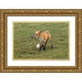 thumbnail image 1 of Lu, Bill 32x23 Gold Ornate Wood Framed with Double Matting Museum Art Print Titled - Playing With Prey, 1 of 4