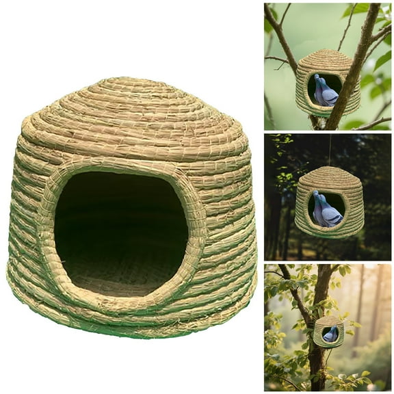 Lu Ding Chicken Egg Laying Breeding Chicken Landscaping Supplies Special Complete Set Of For Raising Chicks