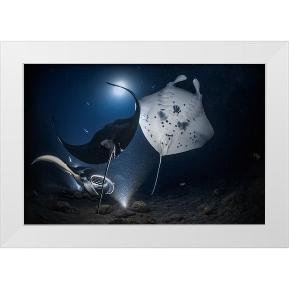 Lu, Jennifer 14x11 White Modern Wood Framed Museum Art Print Titled - Mantas Night Out