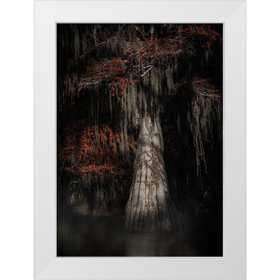 Lu, Linda 11x14 White Modern Wood Framed Museum Art Print Titled - Cypress Tree