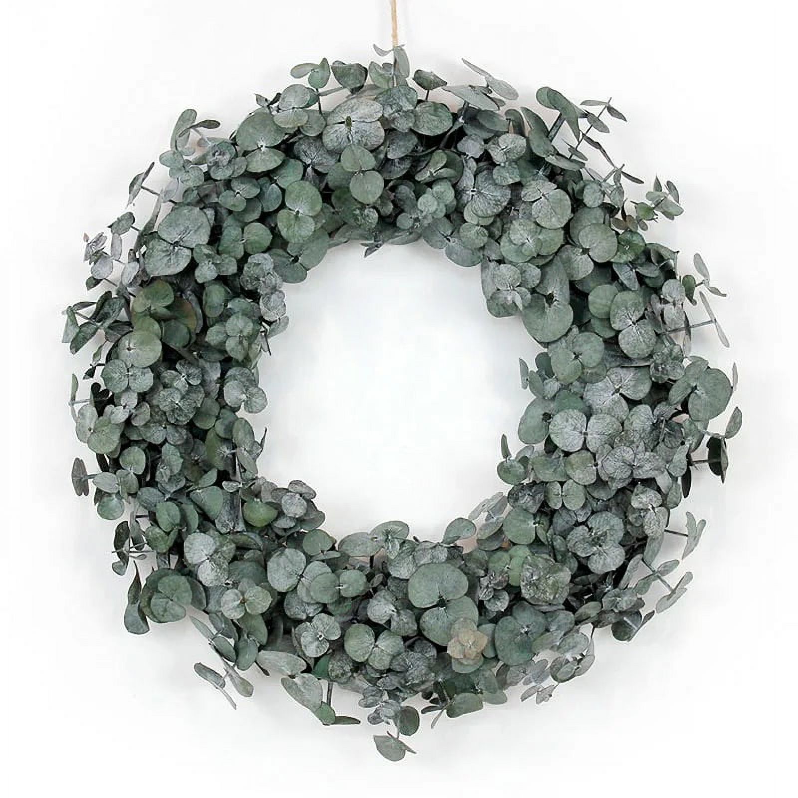 Lu Home The Eucalyptus 22 Wreath Dried Eucalyptus Wreath Fall 
