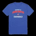thumbnail image 1 of Lubbock Christian University Chaparral Property College T-Shirt, Royal - Medium, 1 of 1