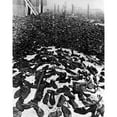 thumbnail image 1 of Lublin History (18 x 24), 1 of 2