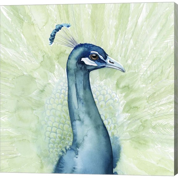 Lucent Plume I by Grace Popp, Canvas Wall Art, 24W x 24H