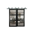 thumbnail image 1 of Lucia 2555 Matte Black, Barn Bypass Doors with Clear Glass - 36" x 80", 1 of 5