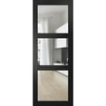 thumbnail image 1 of Lucia 2555 Matte Black, Slab Barn Door Panel Clear Glass - 36" х 96", 1 of 6