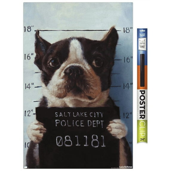 Lucia Heffernan Art - Boston Mug Shot Wall Poster, 22.375" x 34"