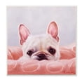 thumbnail image 1 of Lucia Heffernan Cute Puppy Portrait Dog Pet 12 in x 12 in Framed Painting Art Prints, by Stupell Home Décor, 1 of 6
