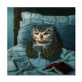 thumbnail image 1 of Lucia Heffernan 'Night Owl' Canvas Art, 1 of 3