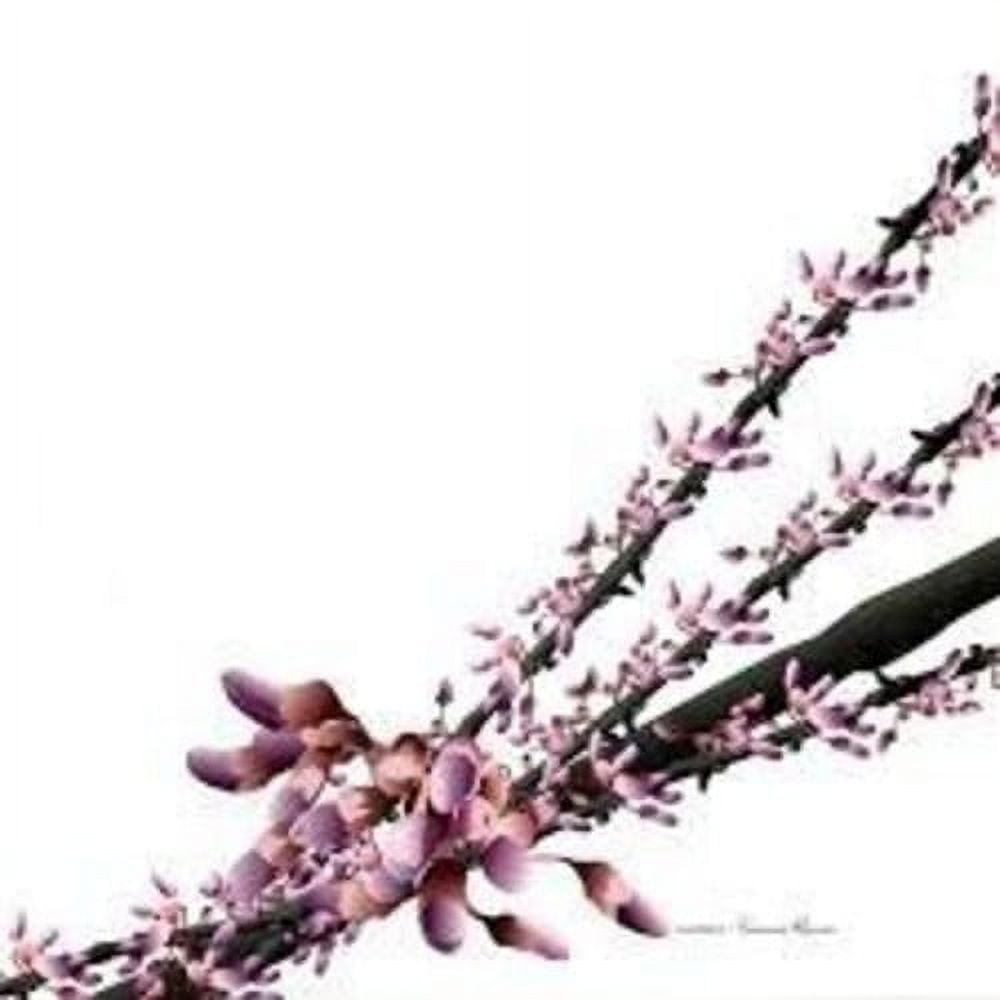 Luciano - Yamore Remix / Harmonics Crashes - Music & Performance - Vinyl