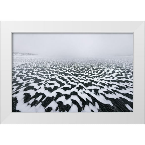 Lucidi, Riccardo 18x13 White Modern Wood Framed Museum Art Print Titled - Camouflage Lake