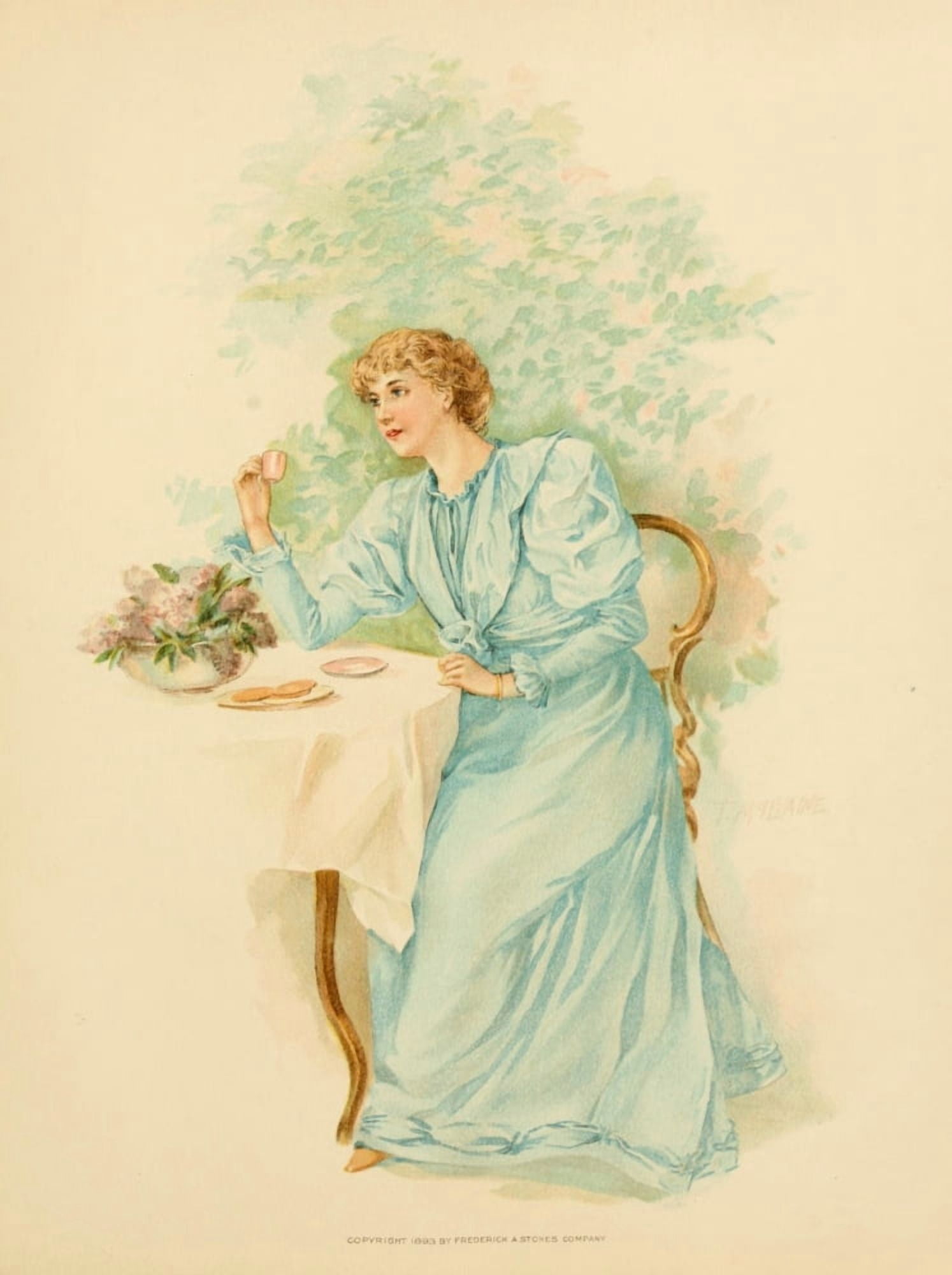 Lucile 1893 Tea and biscuits Canvas Art - Thomas McIlvaine (24 x 36)