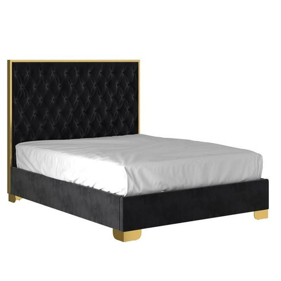 Lucille 60" Tufted Velvet and Stainless Steel Bed in Black/Gold