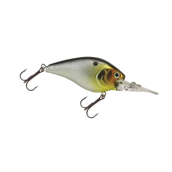 Fish Luck E Deep Smoothy Crankbait 2 #21 Reel Shad