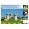 thumbnail image 1 of Luck has a name - Golden Retriever (Monthly Wall Calendar 2026 11.7 x 16.5 (open)), CALVENDO 14 Month Calendar, 1 of 9